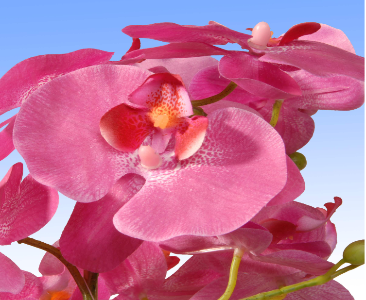 17 in. Artificial Pink Orchid Flowers