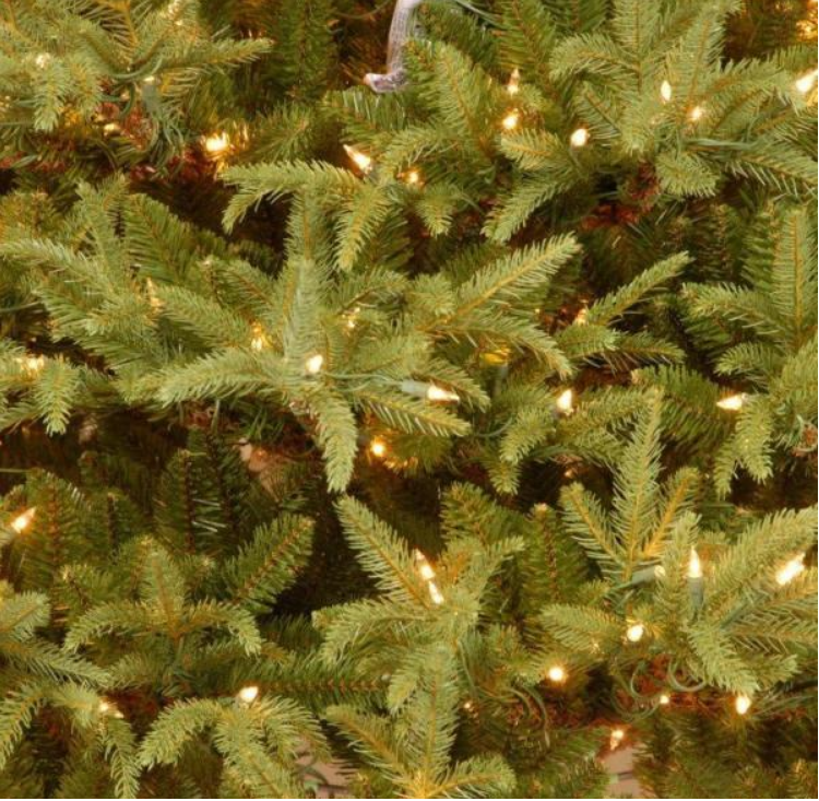 7.5 ft. Frasier Grande Artificial Christmas Tree with Dual Color LED Lights KB1309-A2-B1-P2
