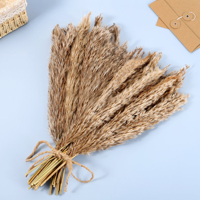 30 Stems Pampas Grass, Artificial Stem Natural and Brown