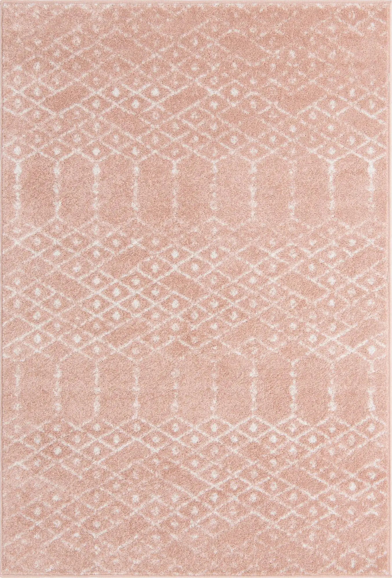 4' x 6' Paxon Trellis Rug