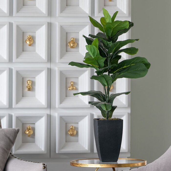 35.4'' Fiddle Leaf Fig Tree in Pot