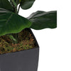 35.4'' Fiddle Leaf Fig Tree in Pot