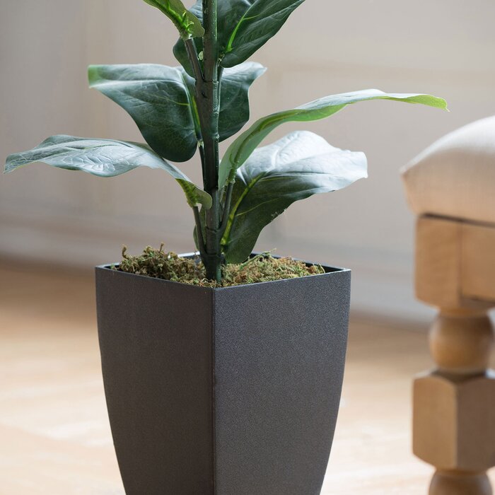 35.4'' Fiddle Leaf Fig Tree in Pot