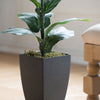 35.4'' Fiddle Leaf Fig Tree in Pot