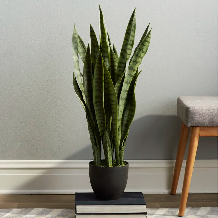 35" Artificial Foliage Plant in Pot