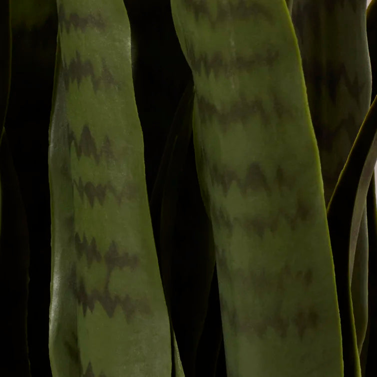 35" Artificial Foliage Plant in Pot