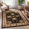 Abbasi Black Traditional Rug, DRug243-B2-S2