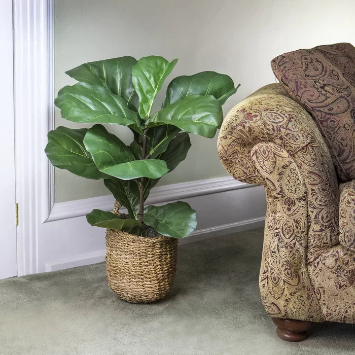 36" Artificial Fiddle Leaf Fig Plant in Basket