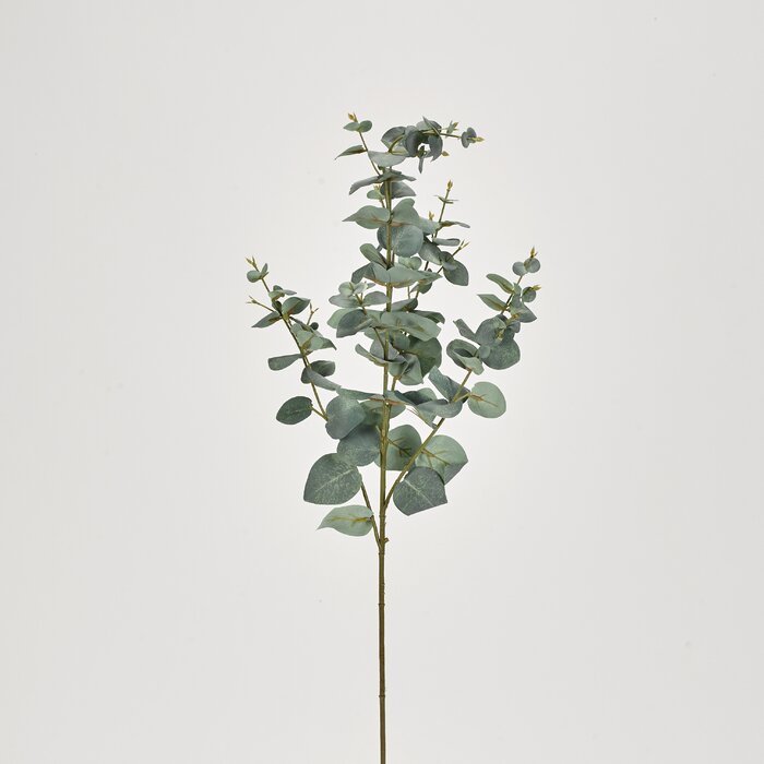 38'' Eucalyptus Branch (Set of 2)