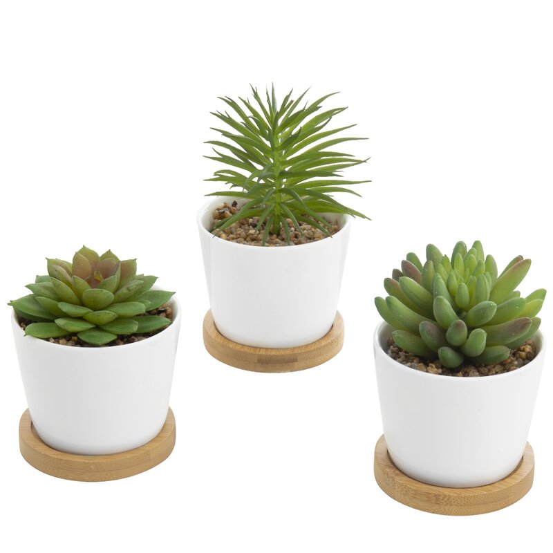 3 - Piece Artificial Succulent Plant in Pot Set VB548