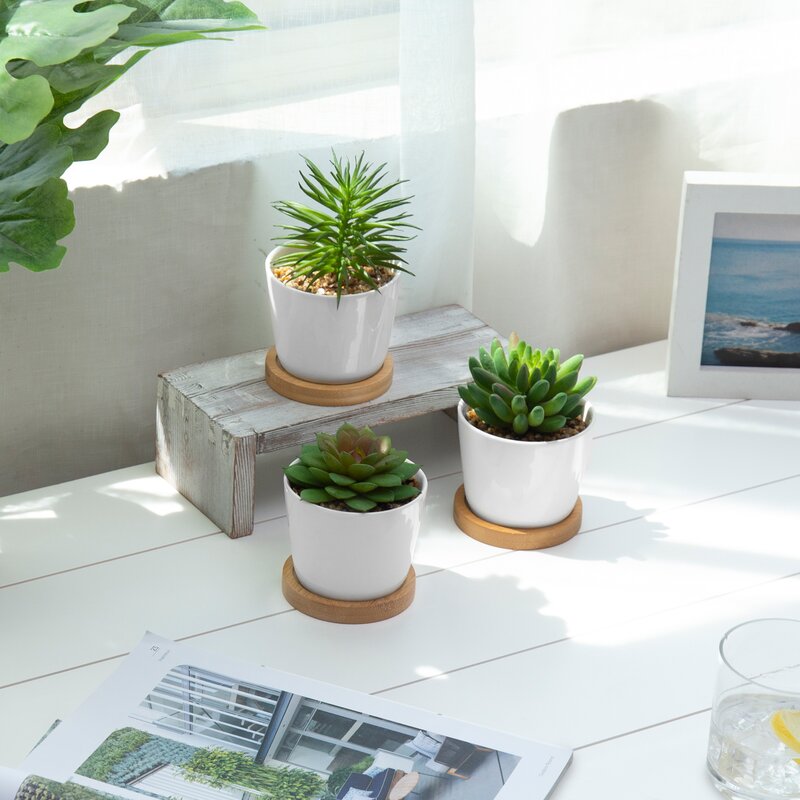 3 - Piece Artificial Succulent Plant in Pot Set VB548