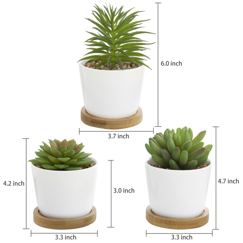 3 - Piece Artificial Succulent Plant in Pot Set VB548