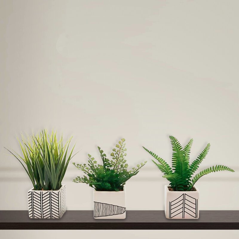 3 Piece Fern Grass in Pot Set HB136