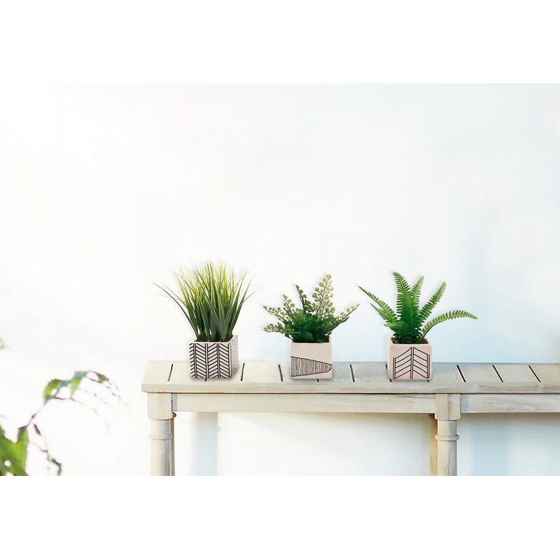 3 Piece Fern Grass in Pot Set HB136