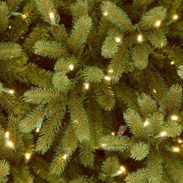 7.5 ft. Jersey Fraser Fir Deluxe Tree with Dual Color LED Lights