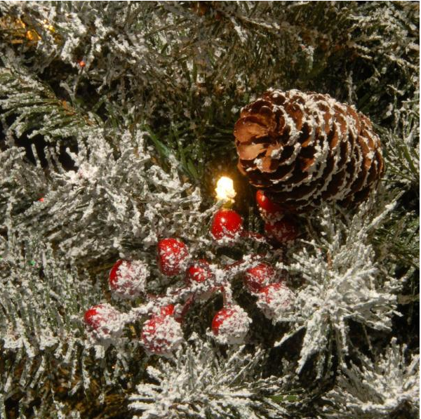 32 in. Snowy Dunhill Fir Bethlehem Star with Battery Operated LED Lights