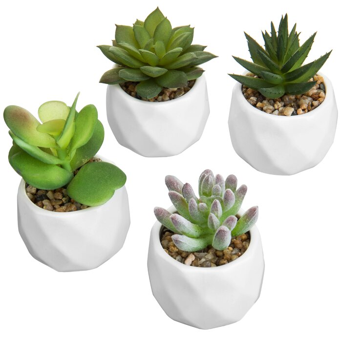 4.3'' Faux Succulent Plant in Ceramic Pot (Set of 4)