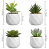 4.3'' Faux Succulent Plant in Ceramic Pot (Set of 4)