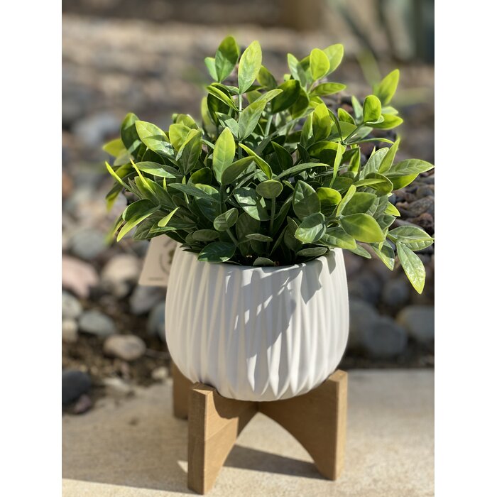 4.75'' Artificial Eucalyptus Plant in Planter EE440
