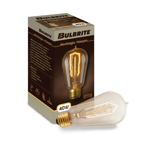 40 Watt, ST18 Incandescent, Dimmable Light Bulb, (2200K) E26/Medium (Standard) Base (Set of 4)