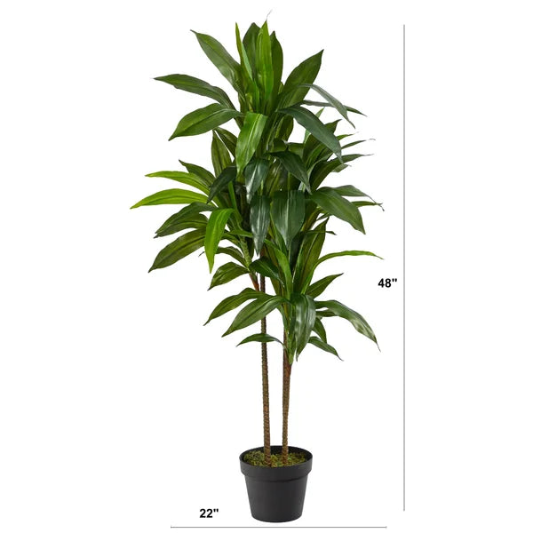 42" Dracaena Plant in Planter
