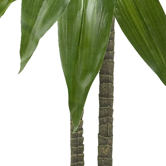 42" Dracaena Plant in Planter