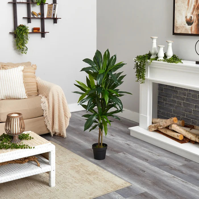 42" Dracaena Plant in Planter