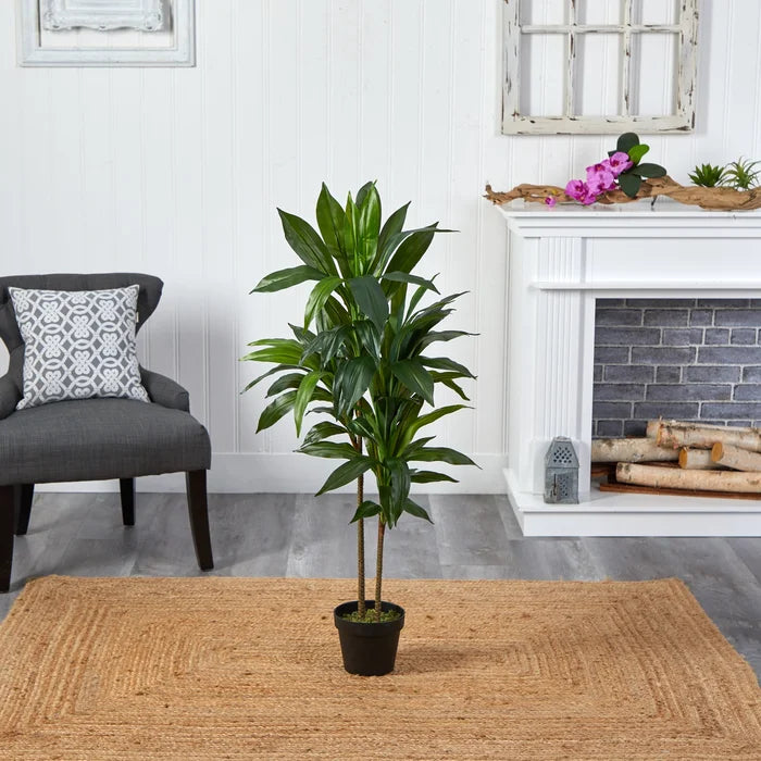 42" Dracaena Plant in Planter