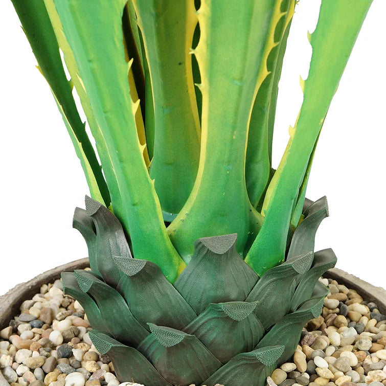 43" Indoor/Outdoor Agave Plant