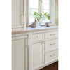 1-3/8-in Clear/Golden Champagne Square Contemporary Cabinet Knob