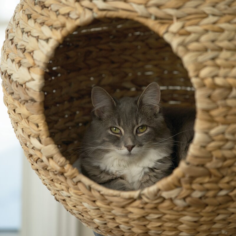 44" Adriana Sphere Scratch Post Cat Tree KB677