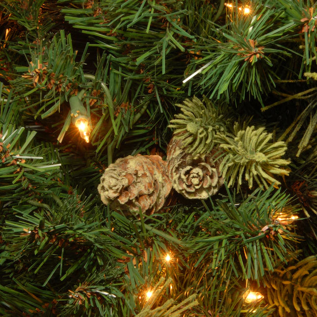6.5-ft Carolina Pine Pre-lit Carolina Pine Artificial Christmas Tree with Incandescent Lights