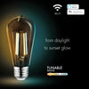 5.5 Watt (60 Watt Equivalent), T20 LED Smart, Dimmable Light Bulb, Warm White (3000K) E26/Medium (Standard) Base