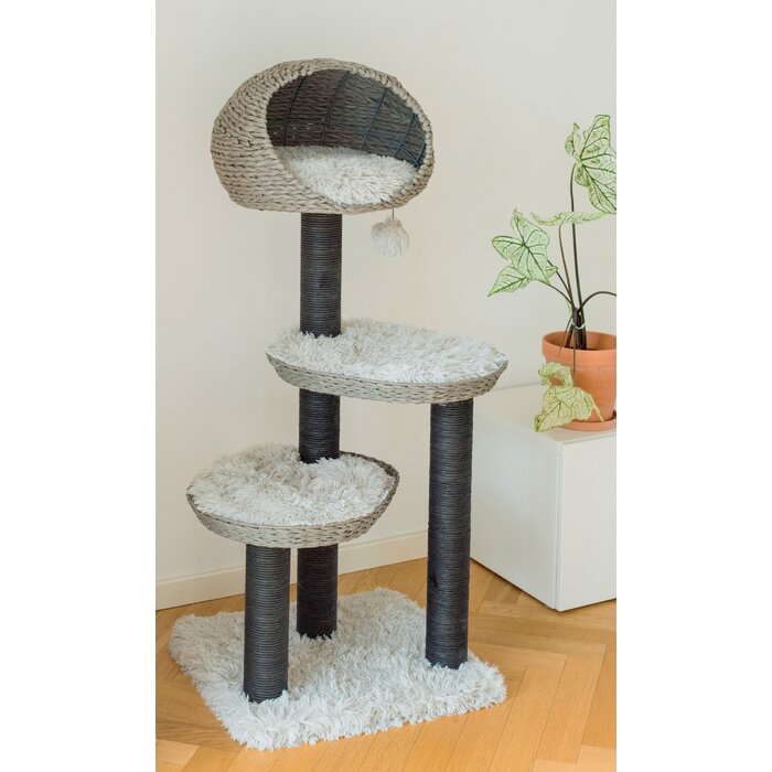 50" Amagansett Cat Condo