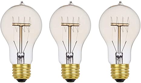 60W Vintage Edison A19 Quad Loop Incandescent Filament Light Bulb, E26 Base, 245 Lumens, (Set of 12)