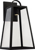Leighton Modern Clear Glass Outdoor Wall Lantern, 1-Light 7 Watt, 23
