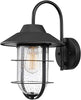 Load image into Gallery viewer, Matthews 1 Light Outdoor Indoor Wall Sconce, Matte Black, Seeded Glass Shade, 14.9