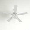 52'' Vassar 5 Blade Standard Ceiling Fan with Pull Chain and Light Kit Included