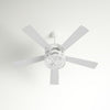 52'' Vassar 5 Blade Standard Ceiling Fan with Pull Chain and Light Kit Included