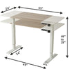 55“ Electric Height Adjustable Standing Desk