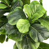 60'' Faux Fiddle Leaf Fig Tree in Rattan Basket