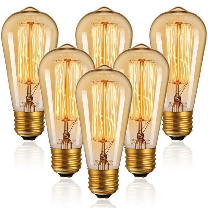 60 Watt (60 Watt Equivalent) ST64 Incandescent Dimmable Light Bulb (Set of 6)