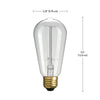 01321 60 Watt (60 Watt Equivalent), ST19 Incandescent, Dimmable Light Bulb, Warm White (2200K) E26/Medium (Standard) Base, set of 3