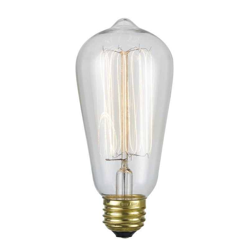 60 Watt ST18 Incandescent Non-Dimmable Light Bulb Warm White (2200K) E26/Medium (Standard) Base (SET OF 2)