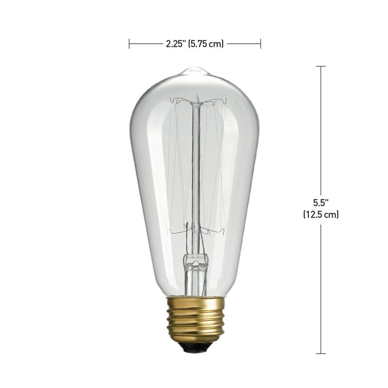 31321 60 Watt, ST19 Incandescent, Dimmable Light Bulb, Warm White (2200K) E26/Medium (Standard) Base (Set of 3) HB148