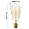 60 Watt, ST64 Incandescent, Dimmable Light Bulb, Warm White (2700K) E26/Medium (Standard) Base (Part number: ST64INC-6) (Set of 6) VB118