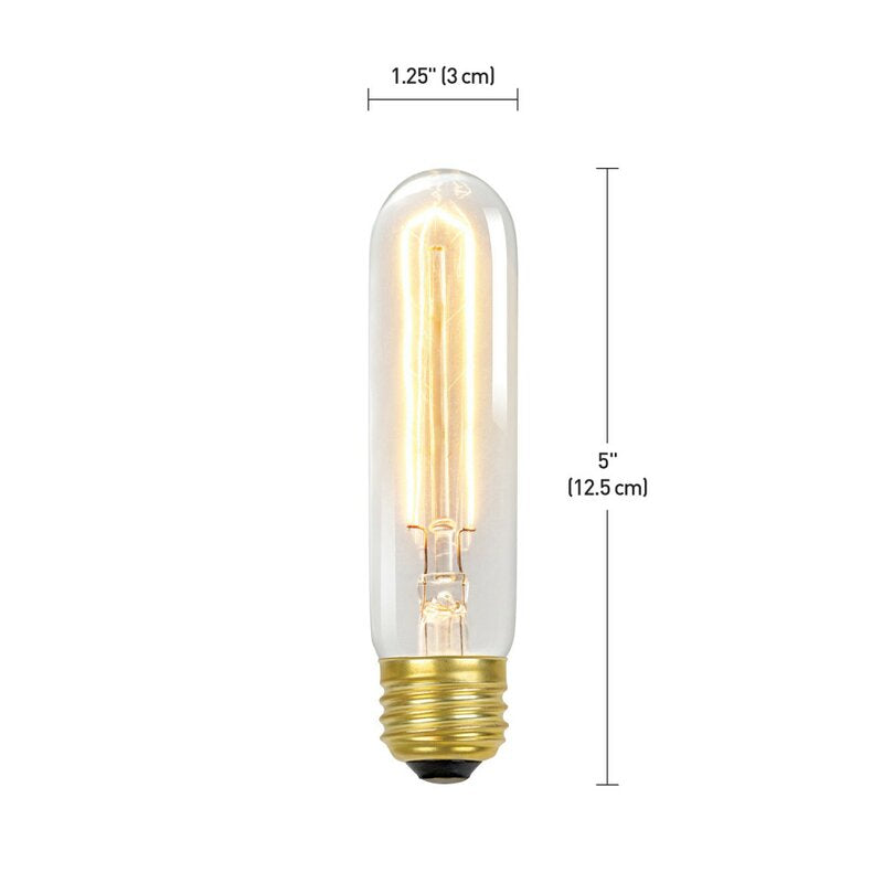 01322 60 Watt, T10 Incandescent, Dimmable Light Bulb, Warm White (2700K) E26/Medium (Standard) Base (Set of 7) HAB208