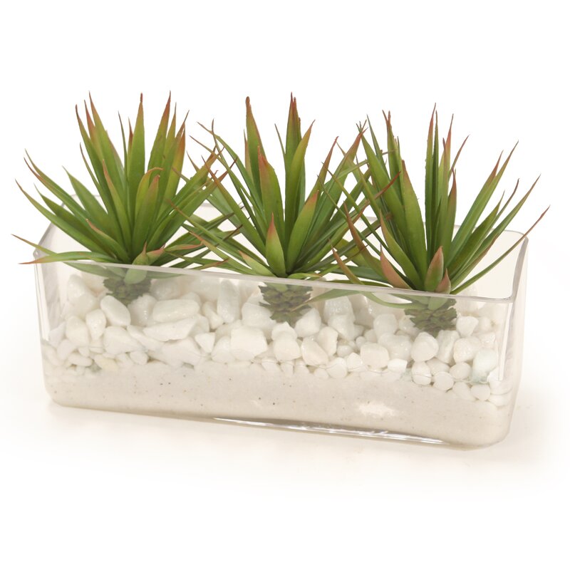 6" Artificial Agave Succulent in Planter (#K1150)