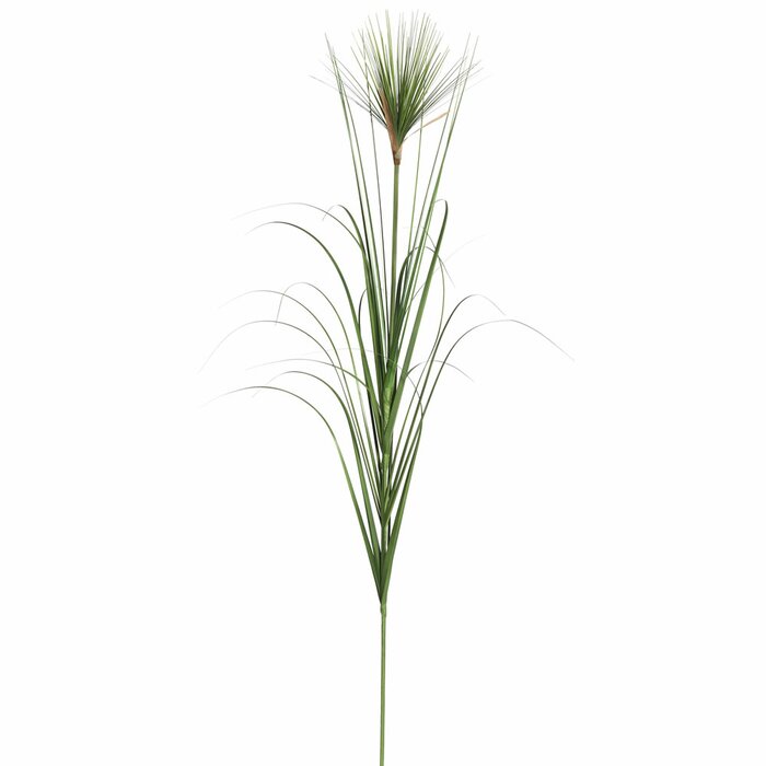 6 Piece Agave Grass (Set of 6) K7485