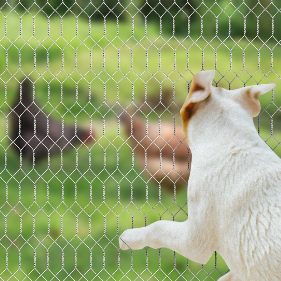 2in 36inch x 50ft Galvanized Hardware Cloth Chicken Wire Mesh Fence 20gauge JW009